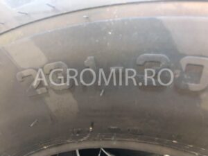 231-30-18pr-bd-65-tl-petlas