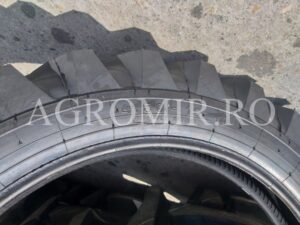 450-19-trayal-4pr