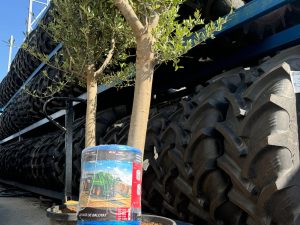 Sfoara balotat cu fir de 750 la 5Kg Breckner Germany